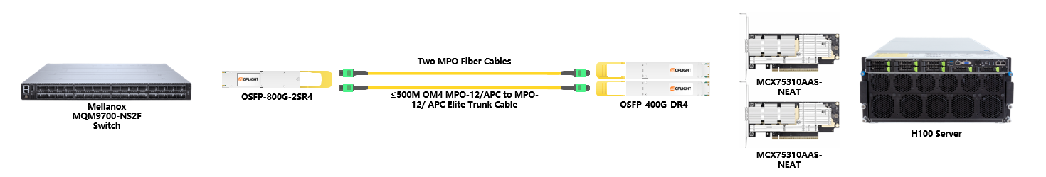 NVIDIA 400G Infiniband links：800G OSFP to 2x400G OSFP