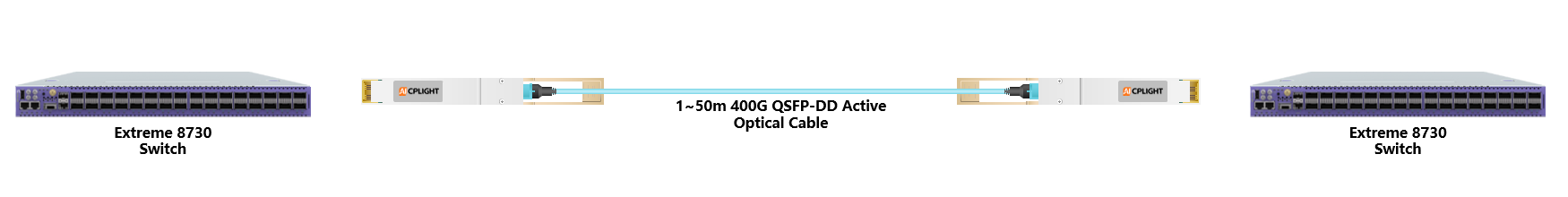 Extreme Switch links：400G QSFP-DD to 400G QSFP-DD