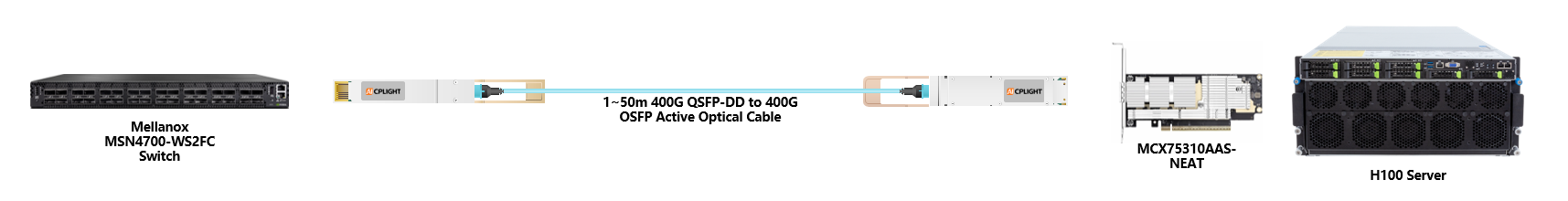 Mellanox Switch links：400G QSFP-DD to 400G OSFP