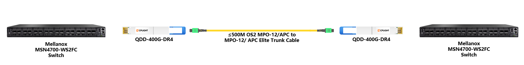 Mellanox Switch links：400G QSFP-DD to 400G QSFP-DD