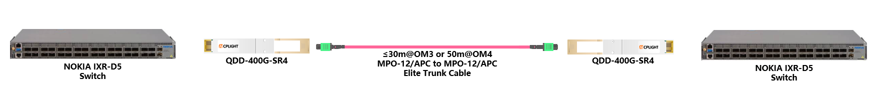NOKIA Switch links：400G QSFP-DD to 400G QSFP-DD