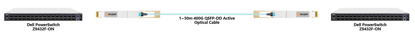 Dell Switch links：400G QSFP-DD to 400G QSFP-DD