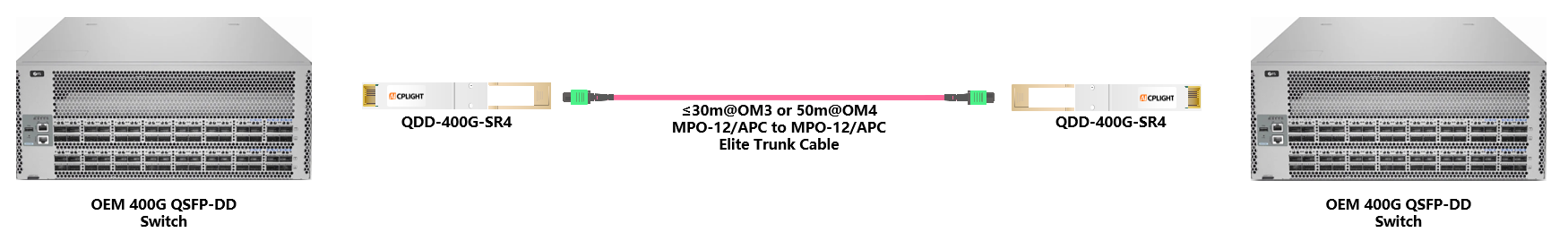 OEM Switch links：400G QSFP-DD to 400G QSFP-DD