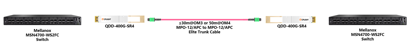 Mellanox Switch links：400G QSFP-DD to 400G QSFP-DD
