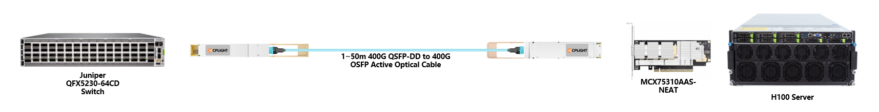 Juniper Switch links：400G QSFP-DD to 400G OSFP