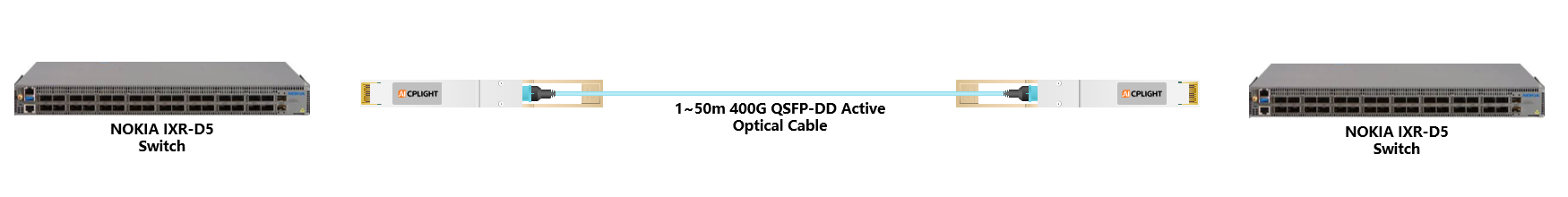 NOKIA Switch links：400G QSFP-DD to 400G QSFP-DD