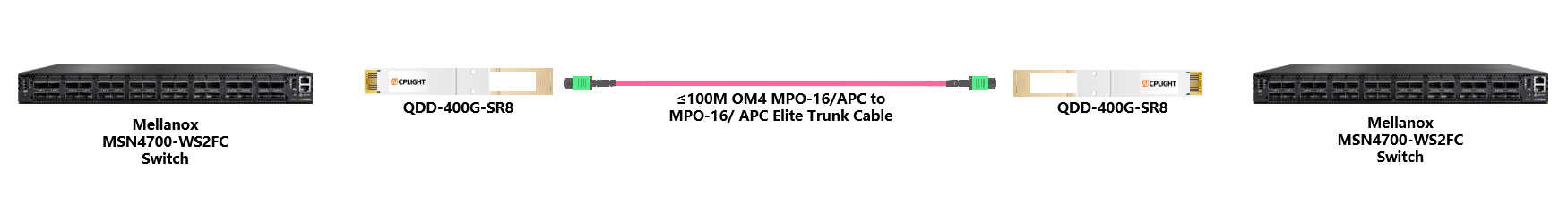 Mellanox Switch links：400G QSFP-DD to 400G QSFP-DD