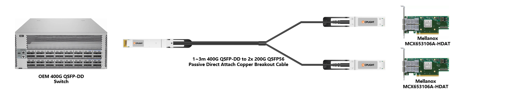 OEM Switch links：400G QSFP-DD to 2x200 QSFP56（2）