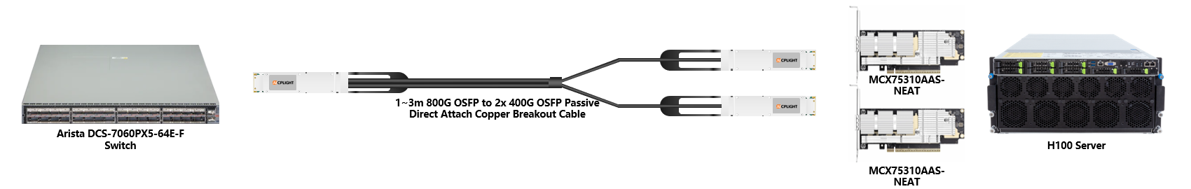 Arista 400G RoCE links：800G OSFP to 2×400G OSFP