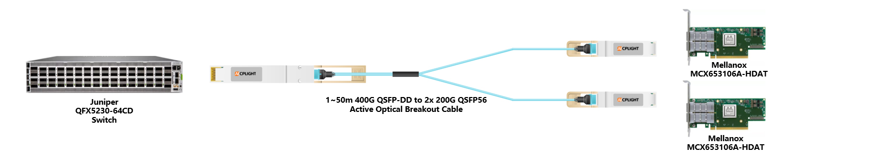 Juniper Switch links：400G QSFP-DD to 2x200 QSFP56（2）