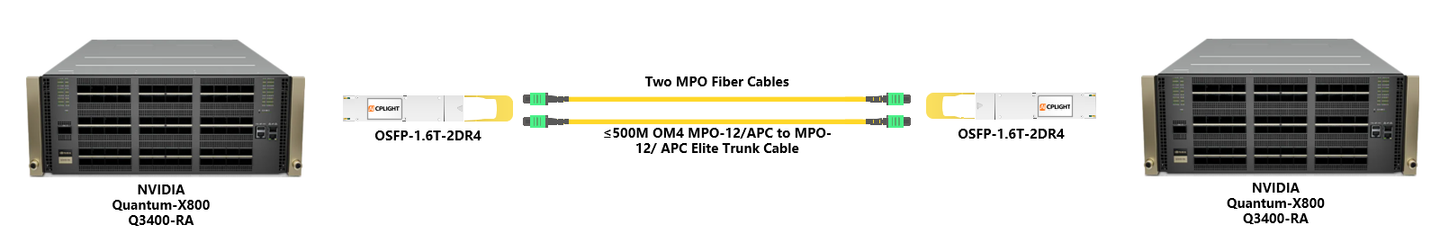 NVIDIA 800G Switch links：1.6T OSFP to 1.6T OSFP