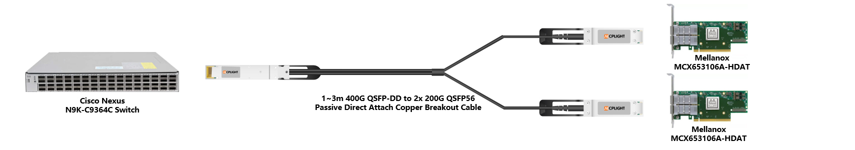 Cisco Nexus Switch links：400G QSFP-DD to 2x200 QSFP56（2）