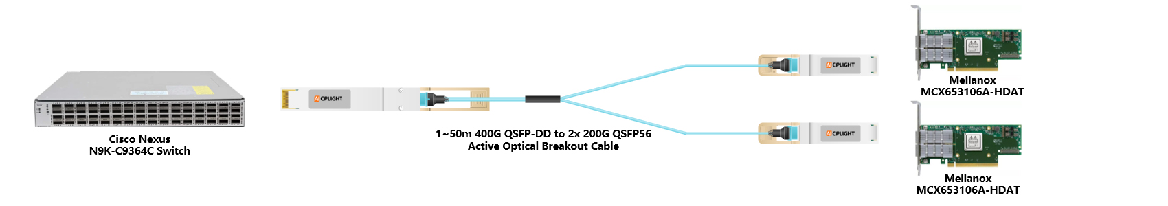 Cisco Nexus Switch links：400G QSFP-DD to 2x200 QSFP56（2）