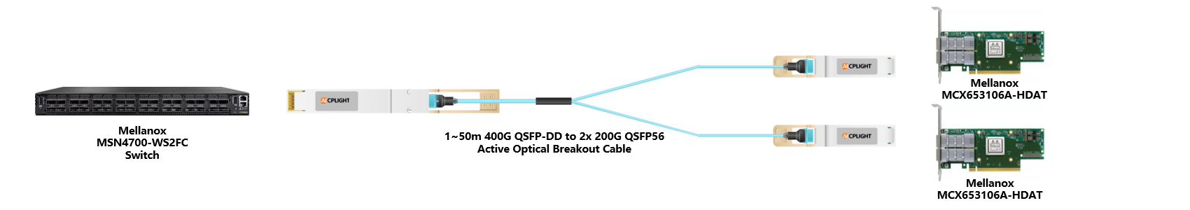 Mellanox Switch links：400G QSFP-DD to 2x200 QSFP56（2）