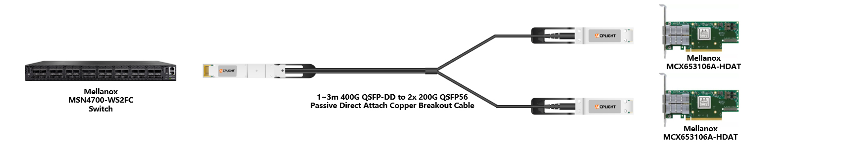 Mellanox Switch links：400G QSFP-DD to 2x200 QSFP56（2）