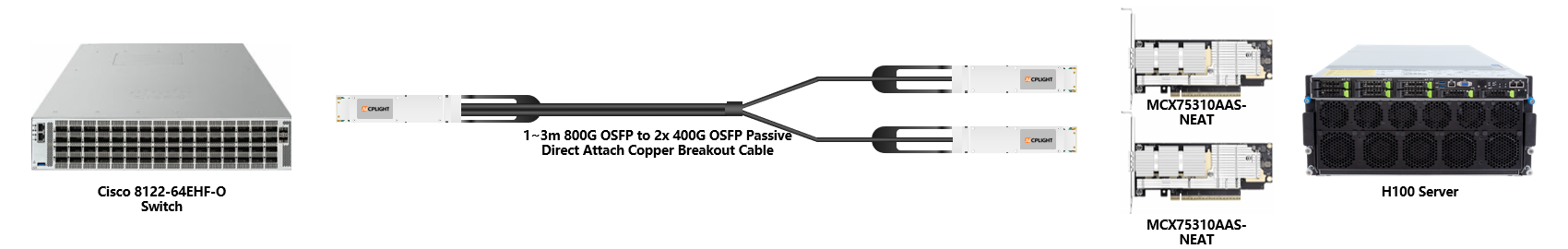 Cisco 400G RoCE links：800G OSFP to 2×400G OSFP