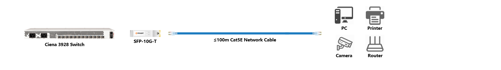 Ciena Switch links：10G SFP+ to 1000M RJ45