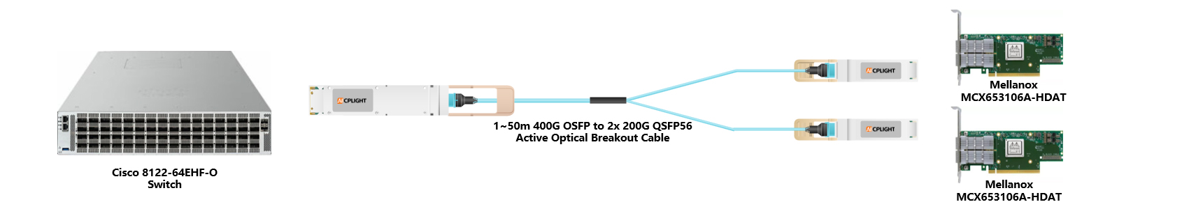Cisco Nexus Switch links：400G OSFP to 2x200 QSFP56（2）