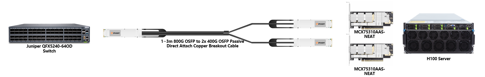 Juniper 400G RoCE links：800G OSFP to 2×400G OSFP