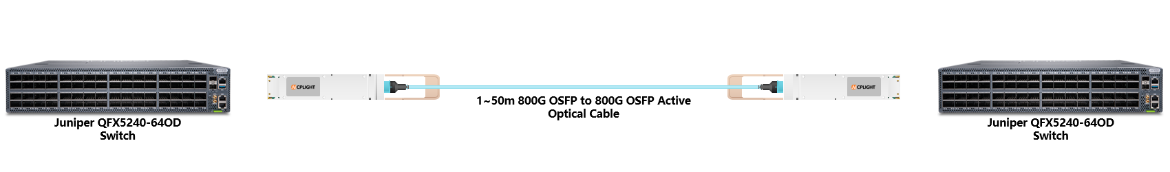 Juniper Switch links：800G OSFP to 800G OSFP