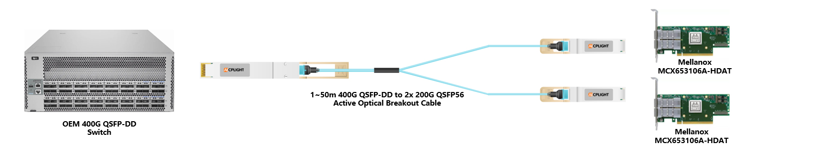 OEM Switch links：400G QSFP-DD to 2x200 QSFP56（2）