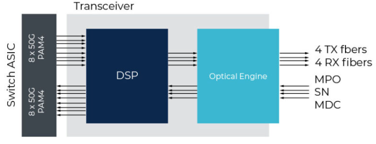 PAM4 system DSP technology signal processing principle diagram