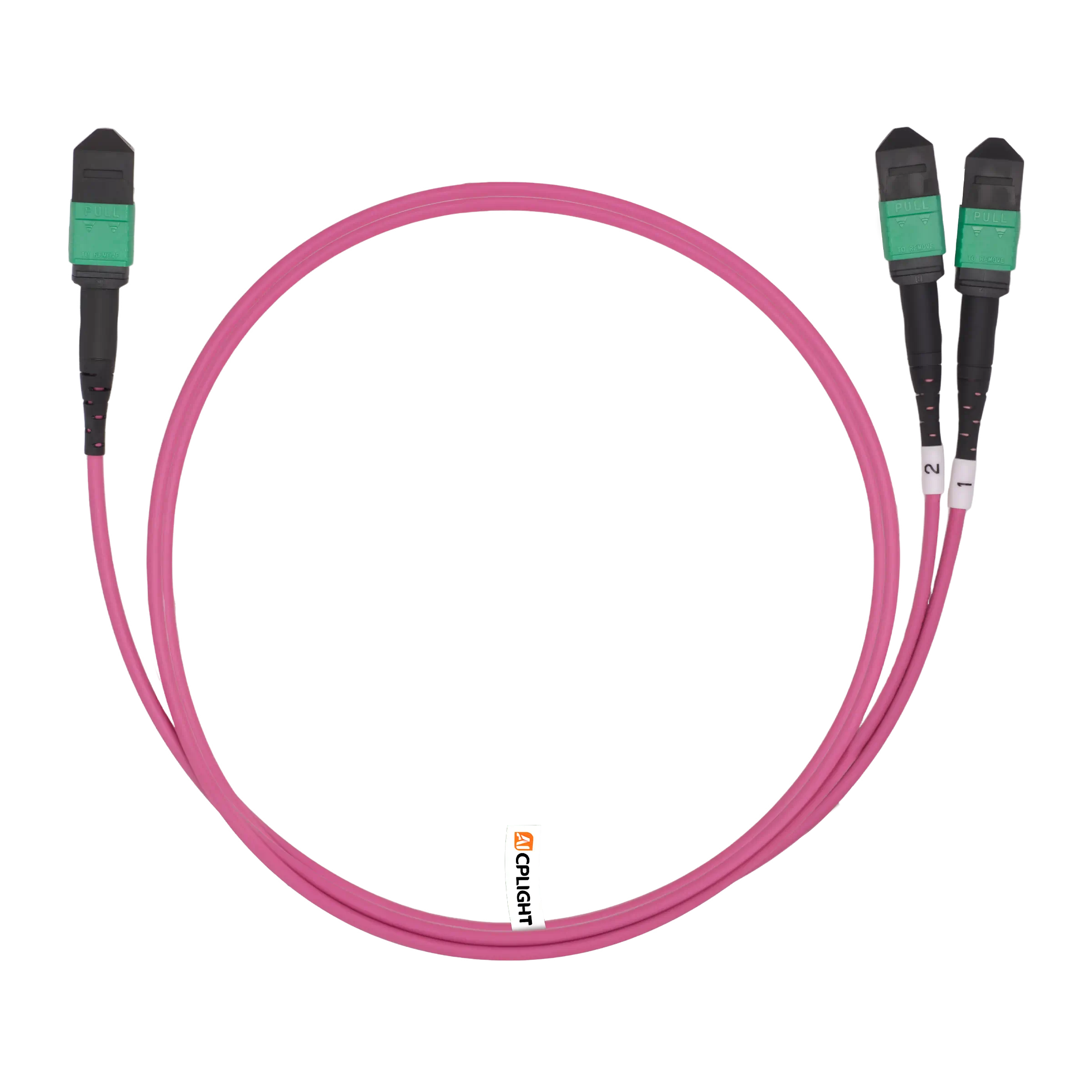 1m(3ft) MPO-8 to 2 x MPO-4 APC Breakout Cable, Female, 8 Fibers, OM4, General