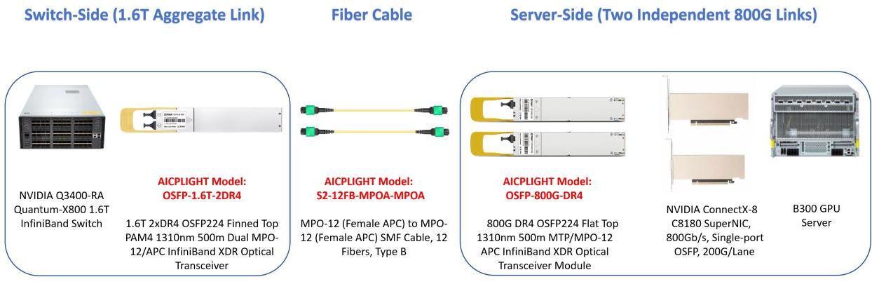 This diagram illustrates a high-performance 1.6T-to-two 800G InfiniBand XDR network architecture, featuring an 1.6T 2xDR4 OSFP224 (OSFP-1.6T-2DR4) transceiver connecting a Quantum-X800 switch to two B300 GPU servers via 800G DR4 OSFP224 (OSFP-800G-DR4) modules