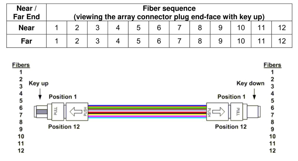 Type-A MPO array patch cord, showing a
