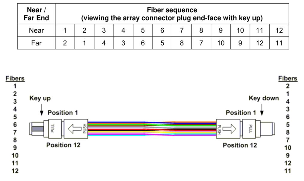 Type-C MPO array patch cord, which utilizes a