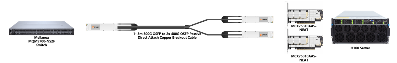 This image demonstrates an 800G to 2x400G OSFP Passive Direct Attach Copper (DAC) breakout connection, linking a Mellanox MQM9700 switch to an H100 server via two ConnectX-7 network cards