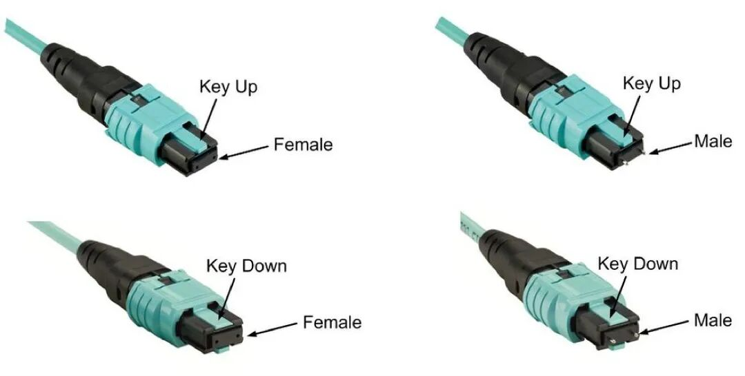 Various configurations of MPO/MTP fiber connectors, identifying the differences between male (pinned) and female (unpinned) interfaces as well as the key-up versus key-down orientation used to define cable polarity