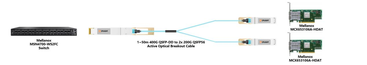Typical application of AICPLIGHT 400G AOC Breakout cable: Splitting a single 400G port from a Mellanox switch into dual 200G links for high-density server connectivity