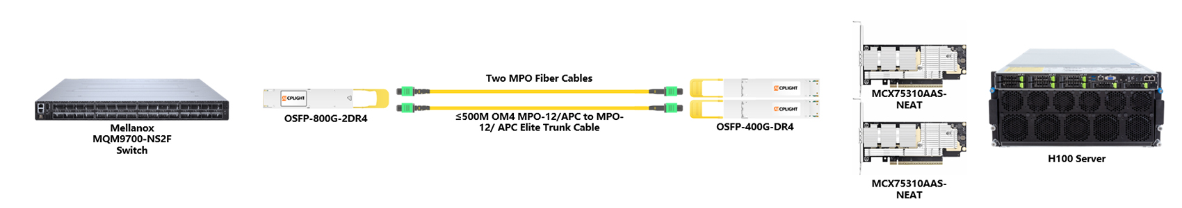 An 800G 2×DR4 breakout architecture, demonstrating how a high-density 800G switch port is split into dual 400G DR4 links via MPO fiber cabling to connect with H100 GPU servers
