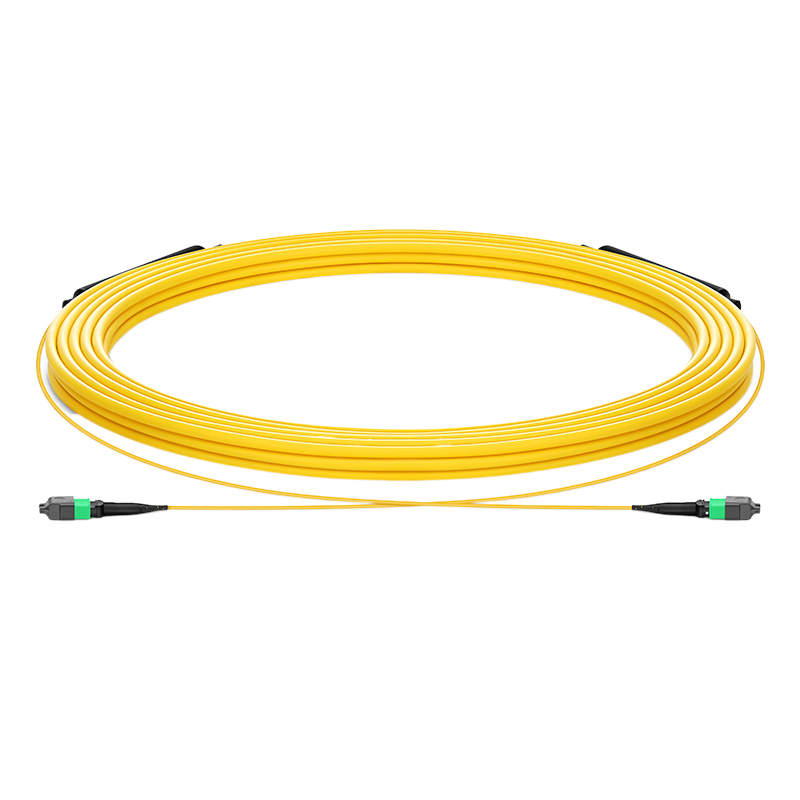 5m(16ft) MPO-12 to MPO-12 APC Jumper, Female, 12 Fibers, OS2, Type B