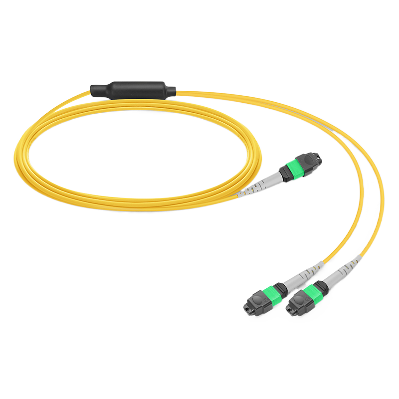 1m(3ft) MPO-8 to 2 × MPO-4 APC Breakout Cable, 8 Fibers, OS2, General