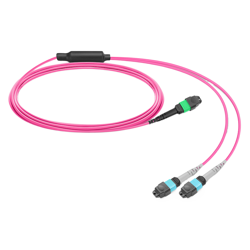 1m(3ft) MPO-16(Female APC) to 2x MPO-8(Female UPC) OM4 Multimode Elite Breakout Cable,16 Fibers,Plenum(OFNP) , Magenta